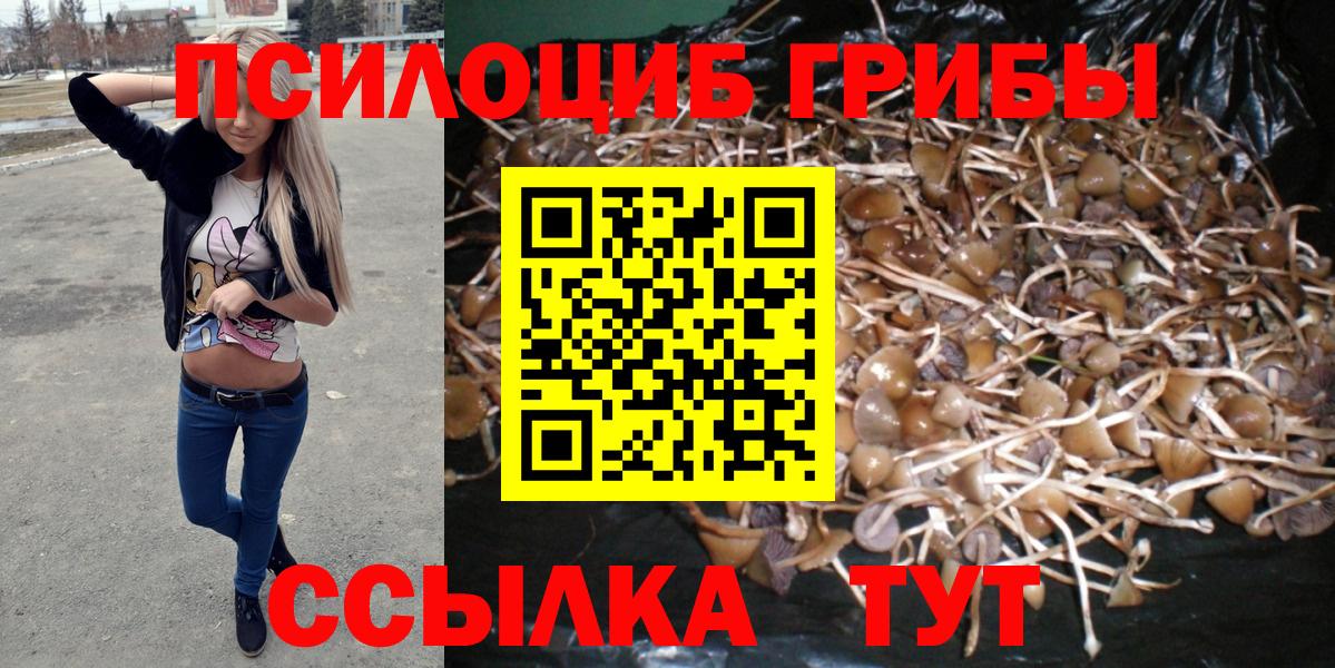 Псилоцибиновые грибы мицелий Шахты