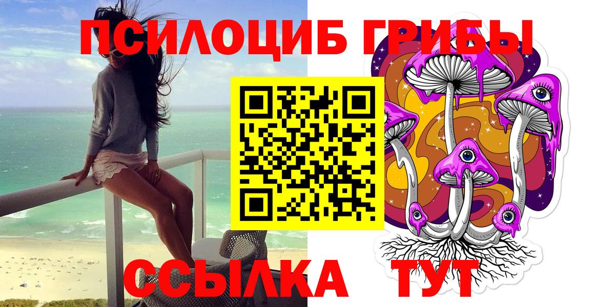 Шахты  купить   Вход с VPN  Галлюциногенные грибы GOLDEN TEACHER 